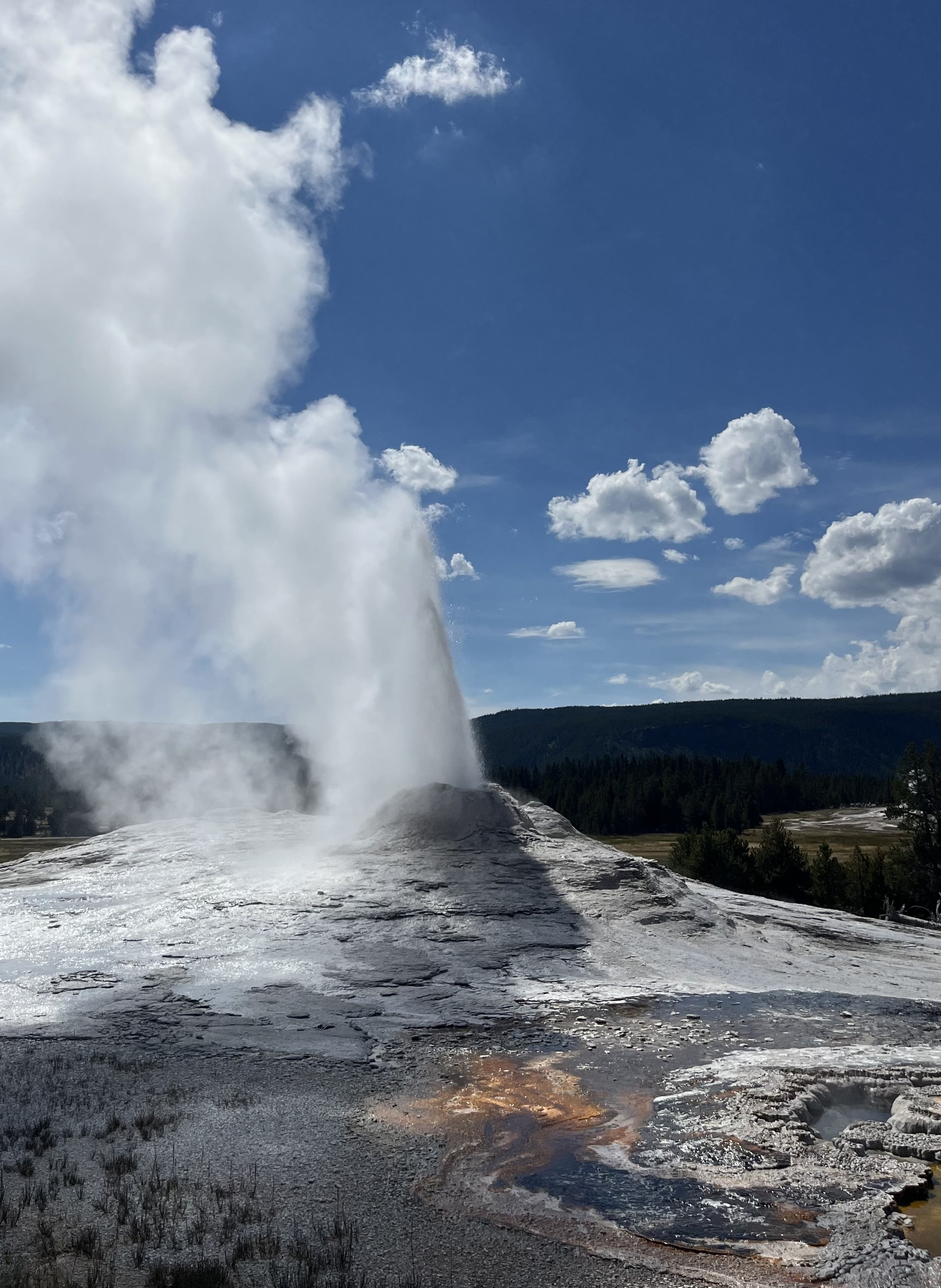 A geyser erupting in Yellowstone