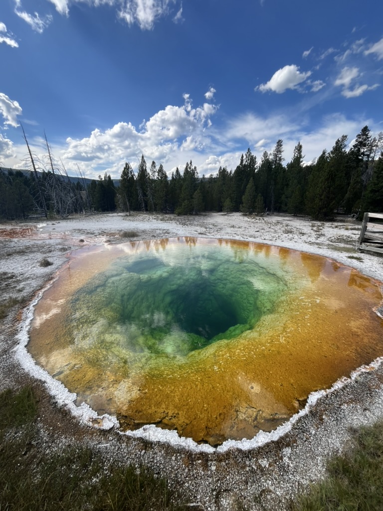 A hot spring in Yellowstone